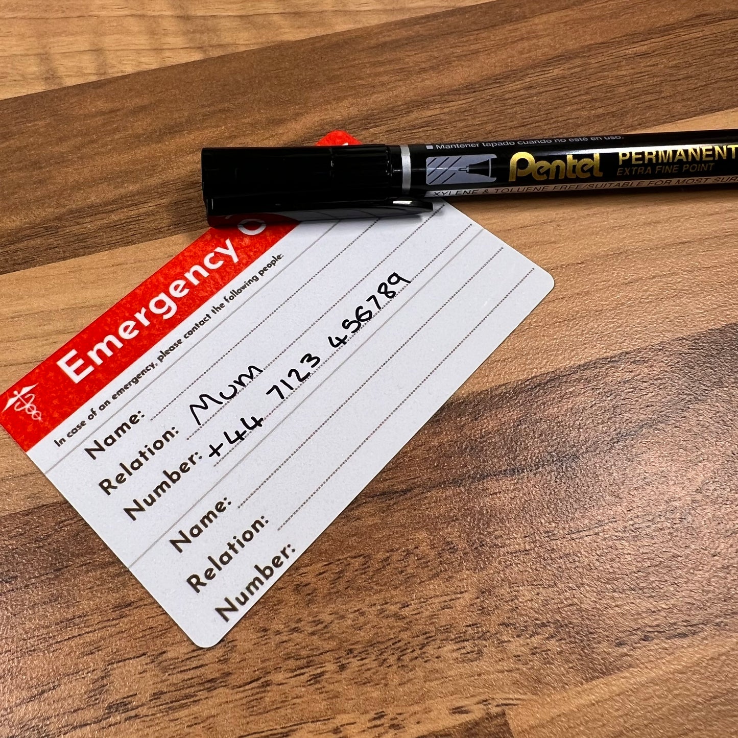 Pentel Extra Fine Permanent Marker 1.2mm Bullet Tip - Sleepy Little Sloth