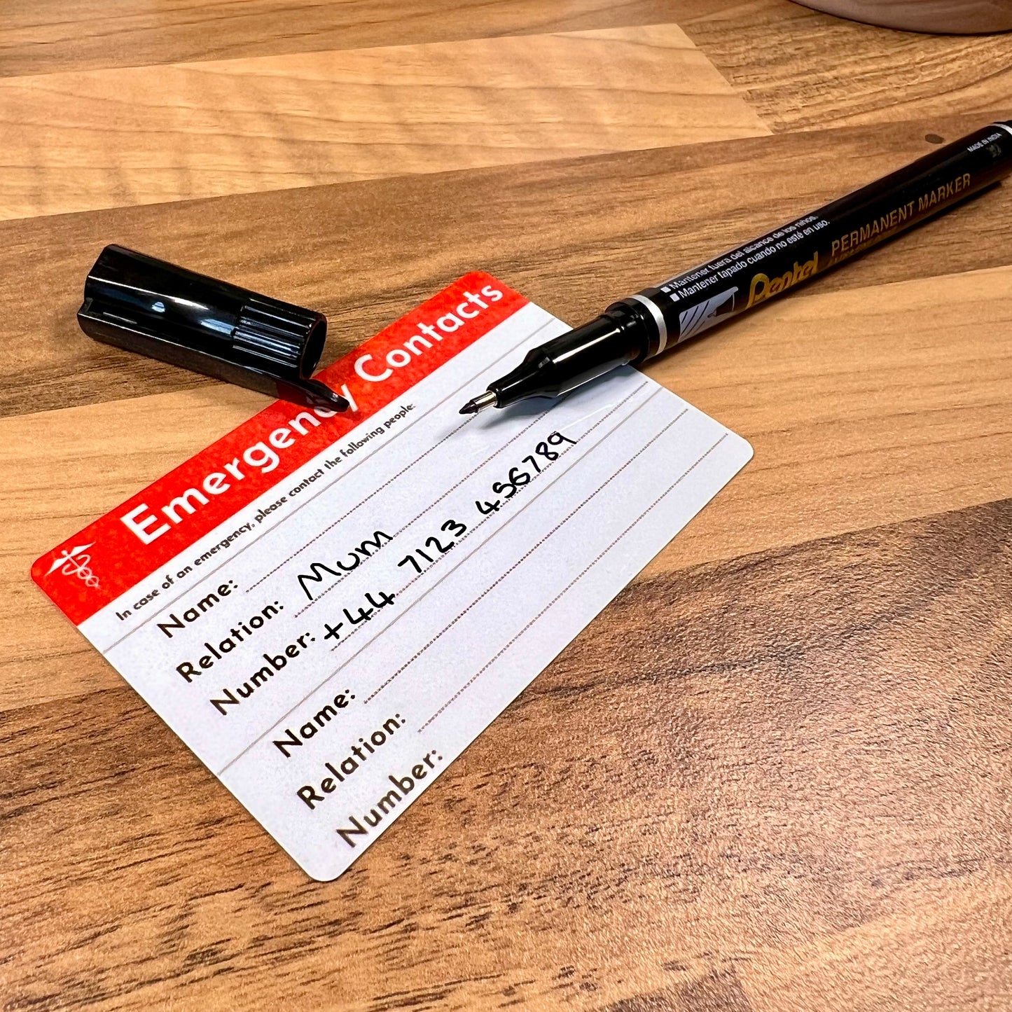 Pentel Extra Fine Permanent Marker 1.2mm Bullet Tip - Sleepy Little Sloth